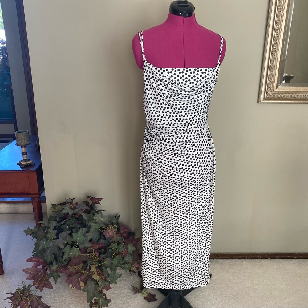 Zara polka dot maxi dress